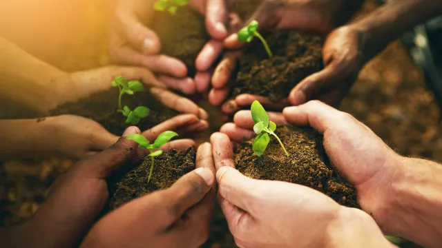 Immagine metaforica che rappresenta gli adempimenti ambientali: 5 paia di mani che raccolgono delle porzioni di terra e delle piantine